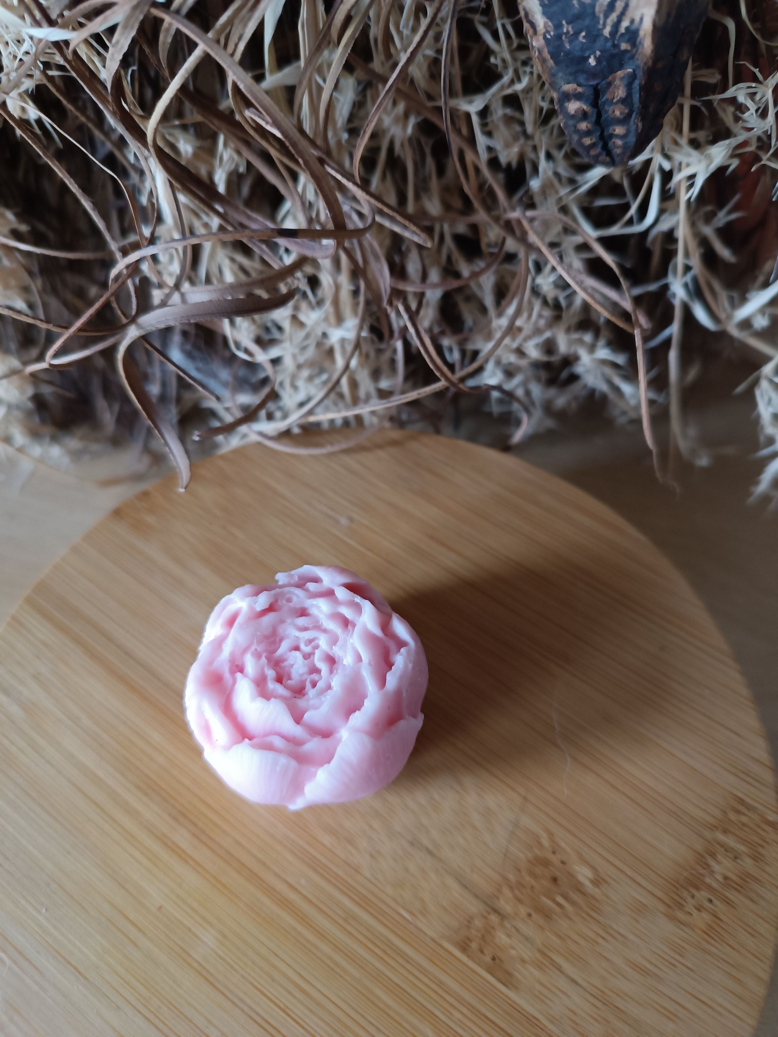 476642657_122135761868474121_5427772241765440456_n